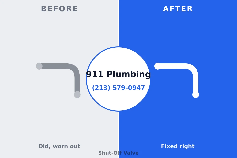 Before and after: plumbing repair Clear Lake, WA